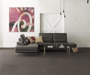 CARPETS